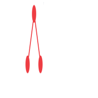 Clarion Shipping