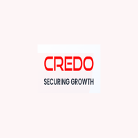 CREDO Technology Services