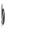 Brussels Consultancy